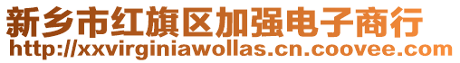 新鄉市紅旗區加強電子商行