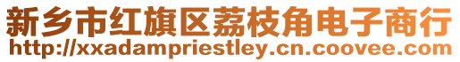 新鄉市紅旗區荔枝角電子商行