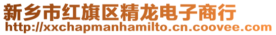 新鄉(xiāng)市紅旗區(qū)精龍電子商行