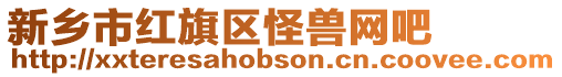 新鄉市紅旗區怪獸網吧