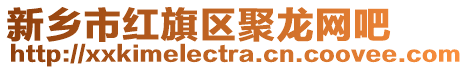 新鄉市紅旗區聚龍網吧