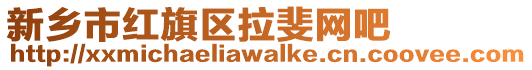 新鄉市紅旗區拉斐網吧