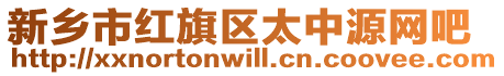 新鄉(xiāng)市紅旗區(qū)太中源網(wǎng)吧