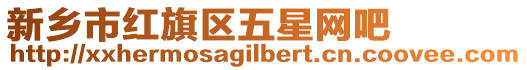 新鄉(xiāng)市紅旗區(qū)五星網(wǎng)吧