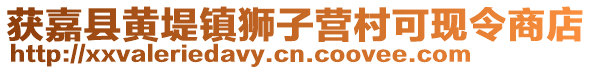 獲嘉縣黃堤鎮(zhèn)獅子營(yíng)村可現(xiàn)令商店