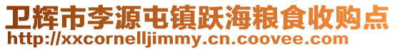 衛輝市李源屯鎮躍海糧食收購點