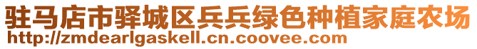 駐馬店市驛城區(qū)兵兵綠色種植家庭農(nóng)場