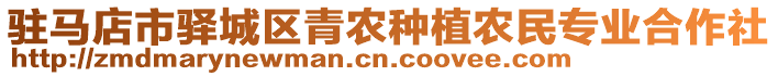 駐馬店市驛城區(qū)青農(nóng)種植農(nóng)民專業(yè)合作社