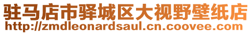 駐馬店市驛城區(qū)大視野壁紙店