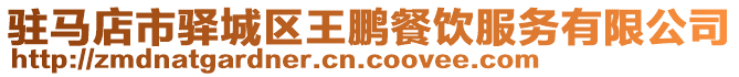 駐馬店市驛城區王鵬餐飲服務有限公司