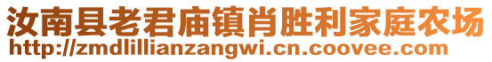 汝南县老君庙镇肖胜利家庭农场