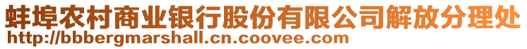 蚌埠農(nóng)村商業(yè)銀行股份有限公司解放分理處