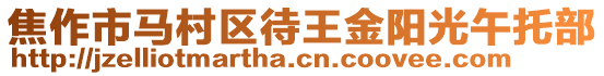 焦作市馬村區(qū)待王金陽光午托部