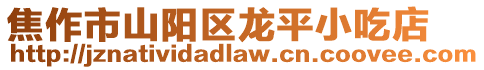 焦作市山陽區(qū)龍平小吃店
