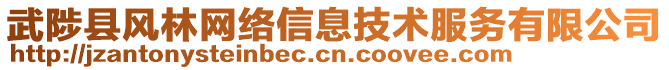 武陟縣風林網絡信息技術服務有限公司