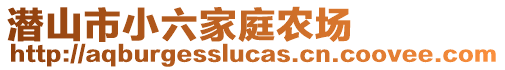 潜山市小六家庭农场