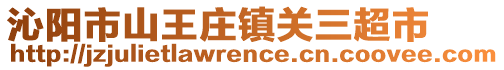 沁陽(yáng)市山王莊鎮(zhèn)關(guān)三超市