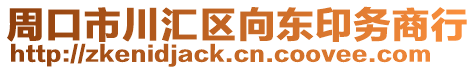 周口市川匯區(qū)向東印務(wù)商行