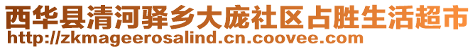 西華縣清河驛鄉(xiāng)大龐社區(qū)占勝生活超市