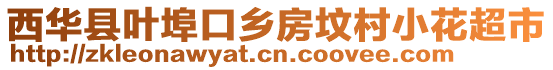 西華縣葉埠口鄉(xiāng)房墳村小花超市