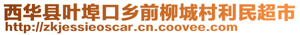 西華縣葉埠口鄉(xiāng)前柳城村利民超市