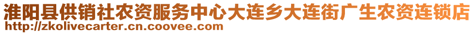 淮陽(yáng)縣供銷社農(nóng)資服務(wù)中心大連鄉(xiāng)大連街廣生農(nóng)資連鎖店