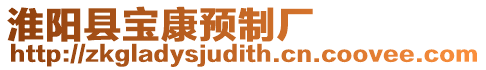 淮陽縣寶康預制廠