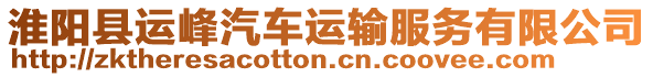 淮陽縣運峰汽車運輸服務有限公司