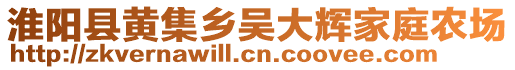 淮陽縣黃集鄉(xiāng)吳大輝家庭農(nóng)場