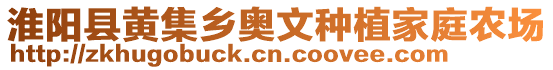 淮陽縣黃集鄉奧文種植家庭農場