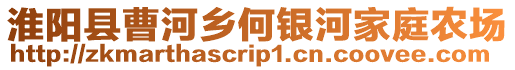 淮陽縣曹河鄉(xiāng)何銀河家庭農(nóng)場