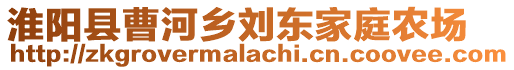 淮陽縣曹河鄉(xiāng)劉東家庭農(nóng)場