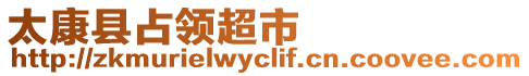 太康縣占領超市