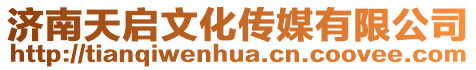 濟(jì)南天啟文化傳媒有限公司
