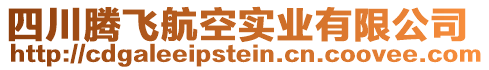 四川騰飛航空實(shí)業(yè)有限公司