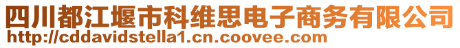 四川都江堰市科維思電子商務(wù)有限公司