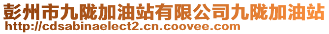 彭州市九隴加油站有限公司九隴加油站