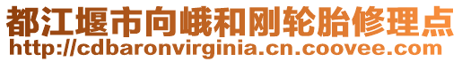 都江堰市向峨和剛輪胎修理點