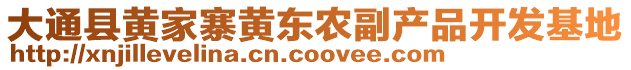 大通县黄家寨黄东农副产品开发基地