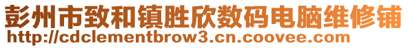 彭州市致和鎮(zhèn)勝欣數(shù)碼電腦維修鋪