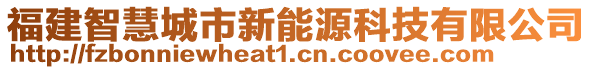 福建智慧城市新能源科技有限公司