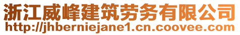 浙江威峰建筑勞務有限公司