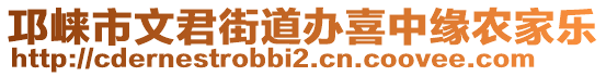 邛崍市文君街道辦喜中緣農(nóng)家樂