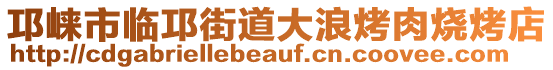 邛崍市臨邛街道大浪烤肉燒烤店