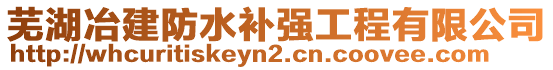 蕪湖冶建防水補(bǔ)強(qiáng)工程有限公司