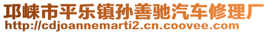 邛崍市平樂鎮(zhèn)孫善馳汽車修理廠