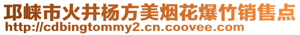 邛崍市火井楊方美煙花爆竹銷售點