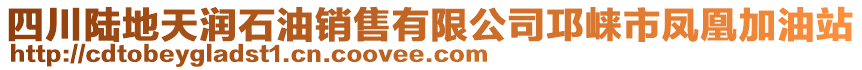 四川陸地天潤石油銷售有限公司邛崍市鳳凰加油站
