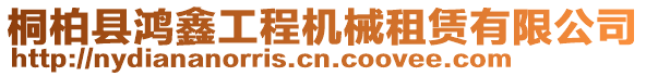 桐柏縣鴻鑫工程機(jī)械租賃有限公司