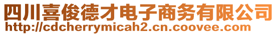 四川喜俊德才電子商務(wù)有限公司